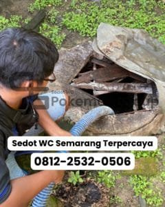 Tips Memilih Jasa Sedot WC